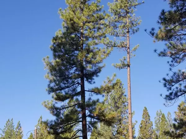 Bieber, CA 96009,9999 Anderson Ranch RD