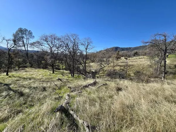 Mariposa, CA 95338,0 Bear Trap DR