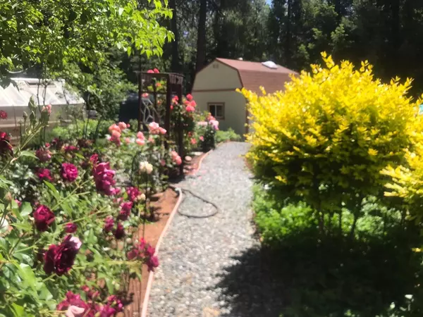 Pioneer, CA 95666,25985 Forest Knoll CT