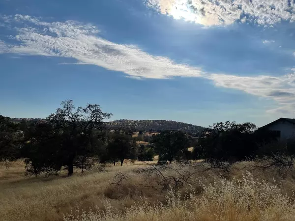 La Grange, CA 95329,0 Pepito DR