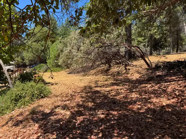 Foresthill, CA 95631,6177 Silverleaf DR