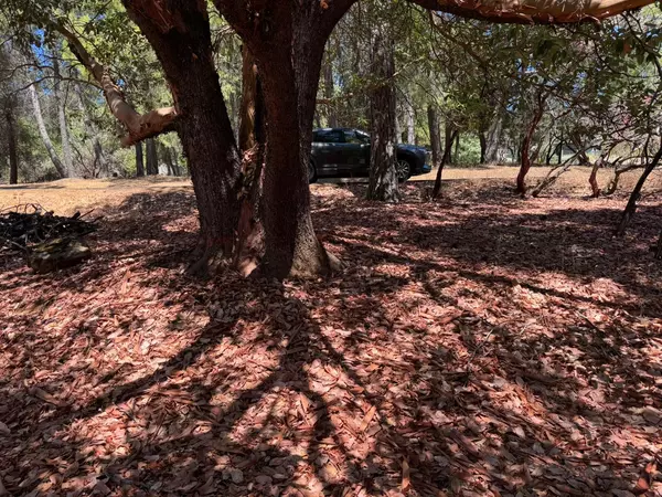 Foresthill, CA 95631,6177 Silverleaf DR