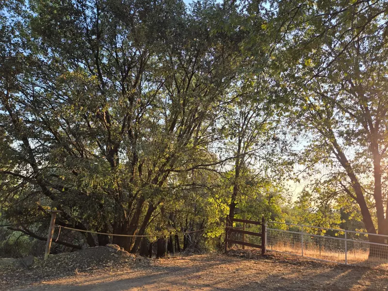 5680 HONEYSUCKLE CIR, Georgetown, CA 9563