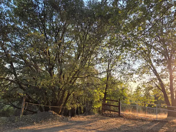 Georgetown, CA 9563,5680 HONEYSUCKLE CIR