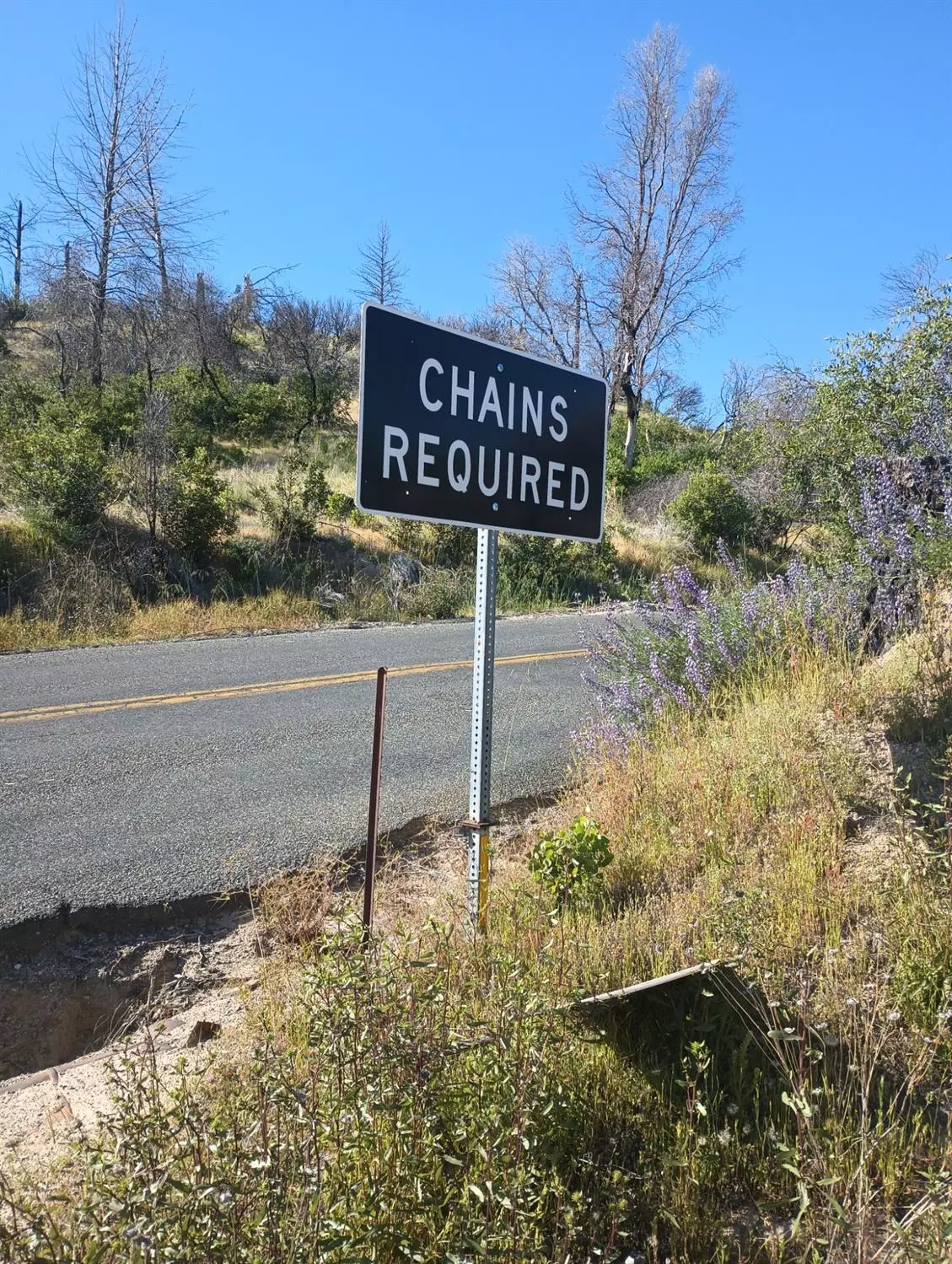 Oroville, CA 95940,34 Burr LN