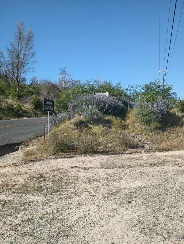 Oroville, CA 95940,34 Burr LN
