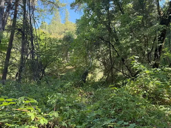 Nevada City, CA 95959,14742 Boquest DR