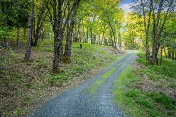 Nevada City, CA 95959,14437 Lightning Tree RD