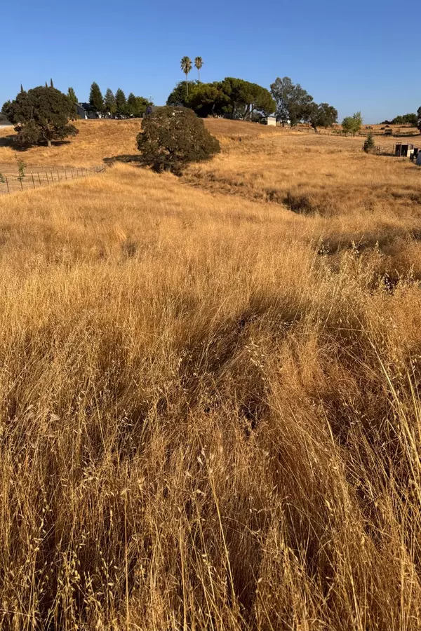 Ione, CA 95640,4090 Beaver RD