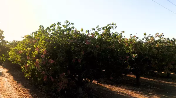 Madera Acres, CA 93638,0 AVE21-ROAD 27