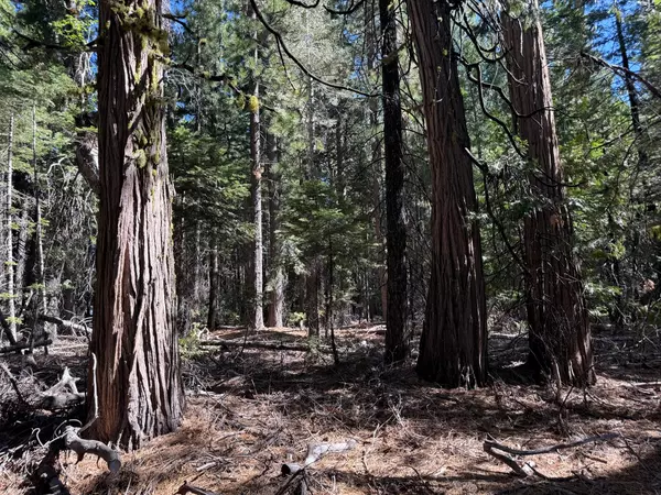 Nevada City, CA 95959,13325 Serpentine WAY