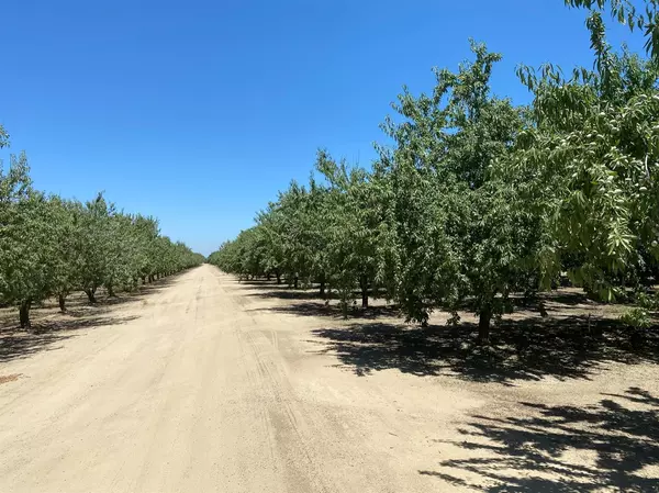 Escalon, CA 95320,16221 Carrolton