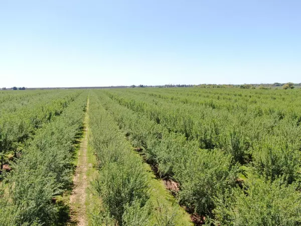 Herald, CA 95638,0 Twin Cities RD