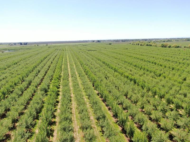 0 Twin Cities RD, Herald, CA 95638