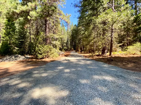 Nevada City, CA 95959,14915 Lolas Echo RD