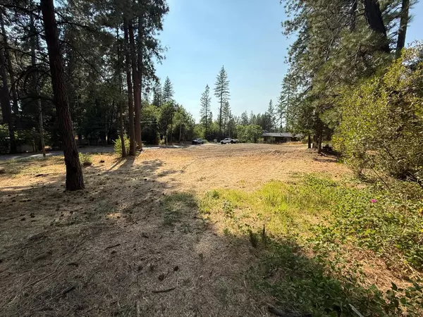 Nevada City, CA 95959,16970 Old Downieville HWY