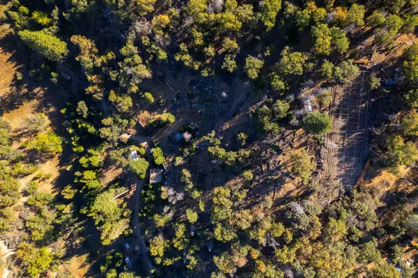 Posey, CA 93260,44989 Mcclenny DR