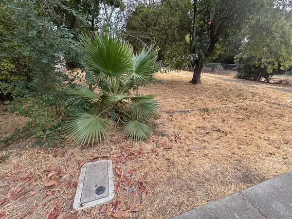 Live Oak, CA 95953,2624 Elm ST