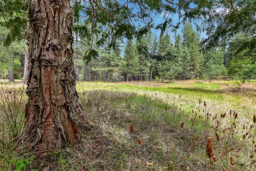 lot 1 Baker RD, Camptonville, CA 95922
