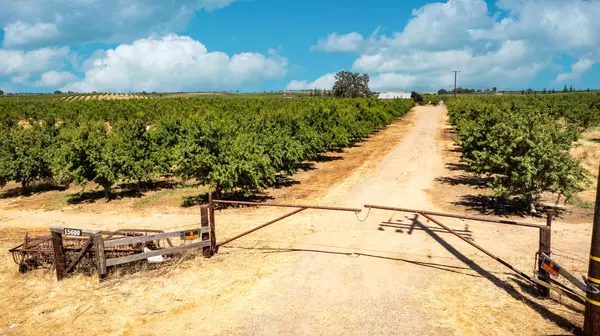 Lodi, CA 95240,15600 Clements RD