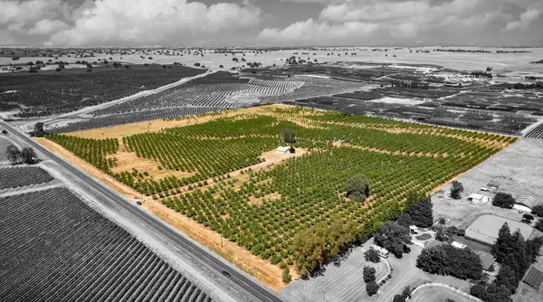 Lodi, CA 95240,15600 Clements RD