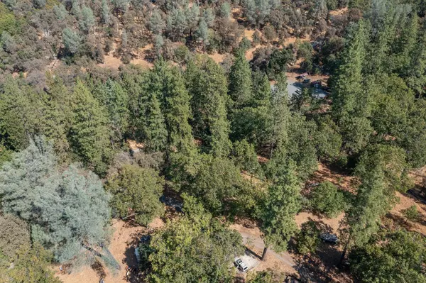 Grass Valley, CA 95949,19635 Wolf Creek Rd