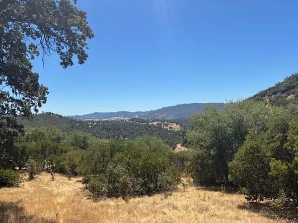 San Andreas, CA 95249,3521 W Murray Creek RD