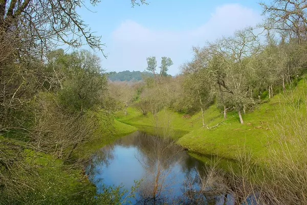 Ione, CA 95640,6550 Jackson Valley RD