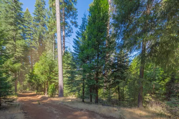 Pollock Pines, CA 95726,0 Blair RD