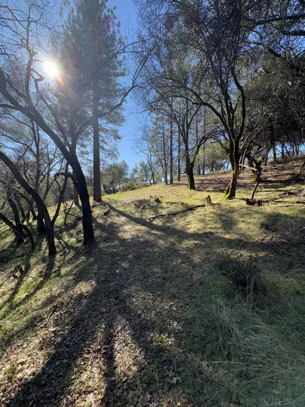 Placerville, CA 95667,6271 Arch LN