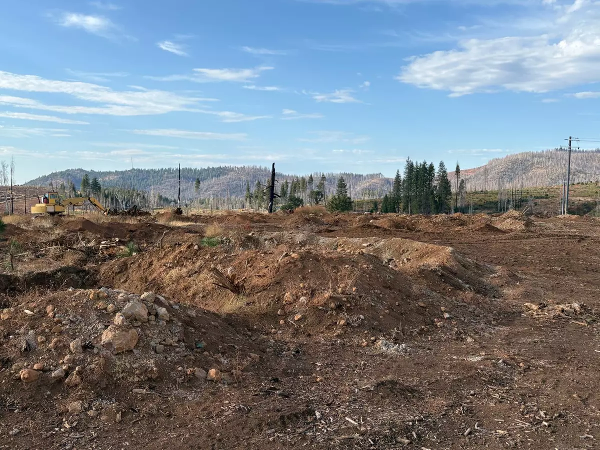 Grizzly Flats, CA 95636,6855 E Tyler DR