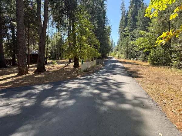 Forbestown, CA 95941,138 Big Fir RD