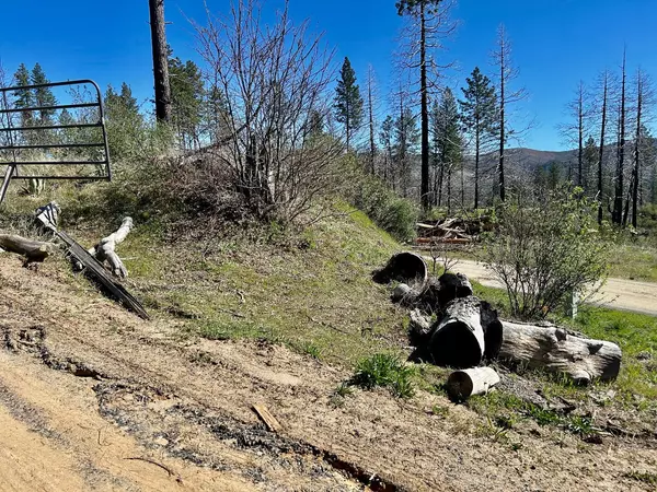 Concow, CA 95965,13253 Astoria WAY