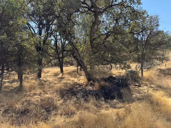 Coulterville, CA 95311,4944 Mary Harrison Mine RD