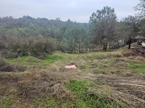 Valley Springs, CA 95252,8808 HAUTLY LN