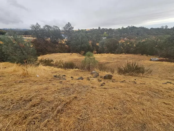 Valley Springs, CA 95252,8808 HAUTLY LN