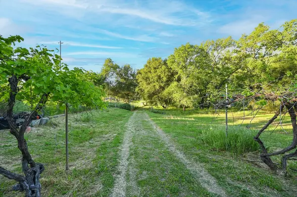 Fiddletown, CA 95629,13930 Fiddletown RD