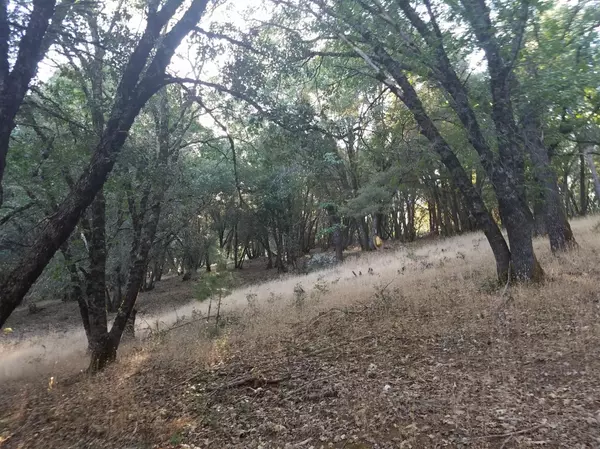 Grass Valley, CA 95949,16424 Annie DR