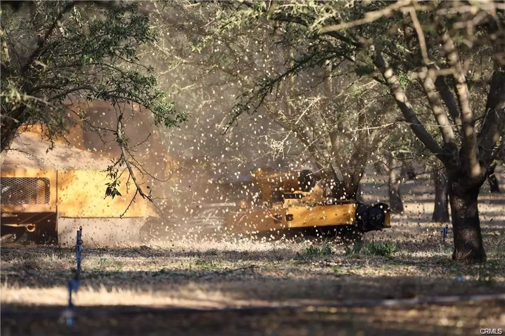 Denair, CA 95316,8 Silver Ridge