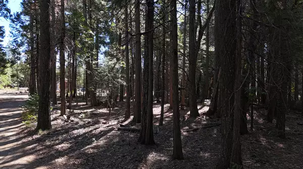 Alta, CA 95701,750 Hideaway LOOP