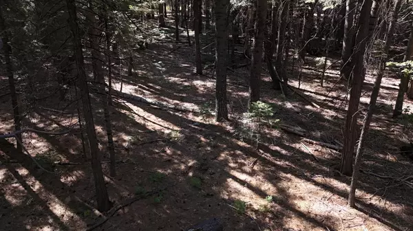 Alta, CA 95701,750 Hideaway LOOP