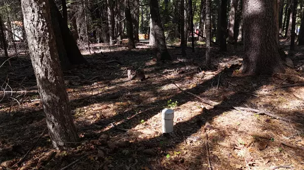 Alta, CA 95701,750 Hideaway LOOP