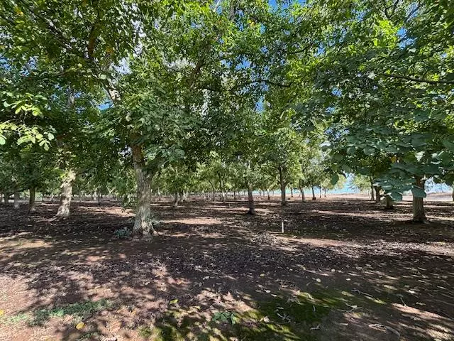 Rio Oso, CA 95674,0 Gallagher RD