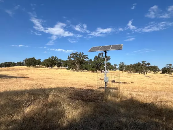 Wheatland, CA 95692,29600 McCourtney RD