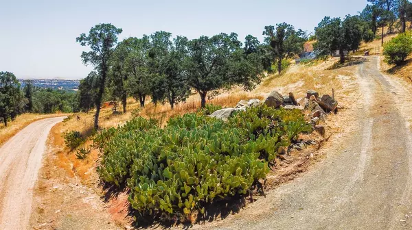 Catheys Valley, CA 95306,3101 Trower Rd