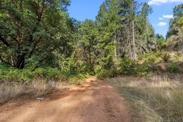 Placerville, CA 95667,3765 Deer Canyon RD
