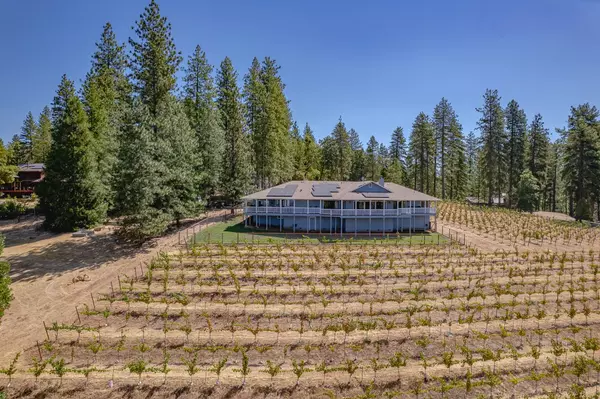 Volcano, CA 95689,18591 Ponderosa Hills RD