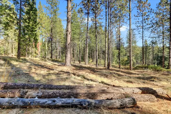 12566 Allison Ranch RD, Grass Valley, CA 95949