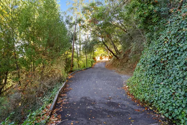 Orinda, CA 94563,0 Canon DR