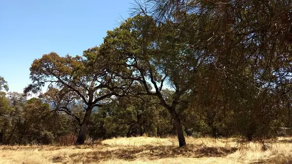 El Dorado, CA 95623,2 Crystal BLVD